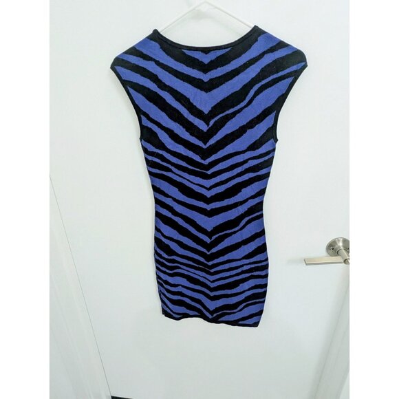 Animal Stripe Round Neck Mini Sweater Dress, Black & Blue Express XS - Picture 2 of 4